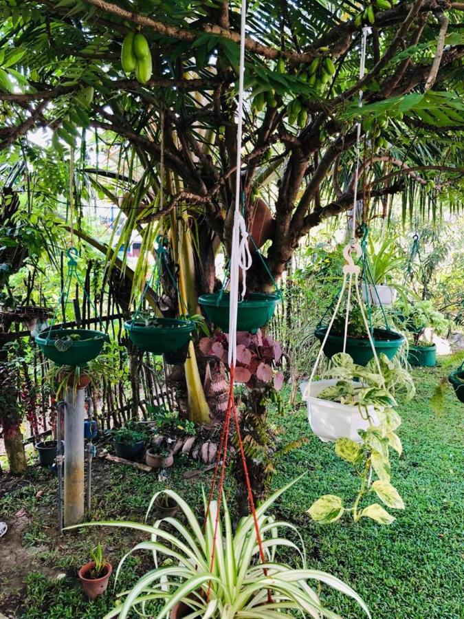 Thusitha S Nest Hotel Dikwella Bagian luar foto